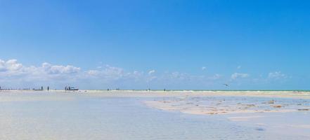 schöne insel holbox strand sandbank panorama türkis wasser wellen mexiko. foto