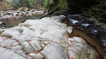 Landschaft eines Gebirgsflusses im Wald im Frühherbst und im Spätsommer. Wasser in einem natürlichen Bach. schöner und entspannender Wald mit einem Fluss. Fluss tief im Bergwald. Natur Zusammensetzung. foto