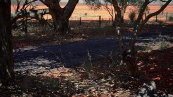 Outback Road mit trockenem Gras und Bäumen foto