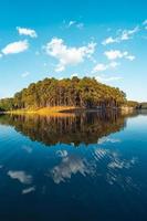 Natursee und Waldcampingplatz foto