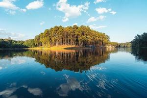 Natursee und Waldcampingplatz foto