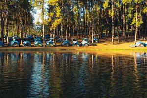 Natursee und Waldcampingplatz foto