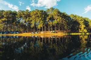 Natursee und Waldcampingplatz foto