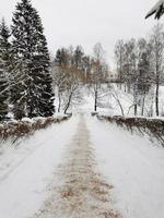 Winter im Pavlovsky Park weißer Schnee und kalte Bäume foto