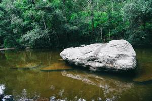 Bergfluss, der vom Wasserfall fließt - Landschaft, Natur, grüne Pflanze und Baum, Regenwalddschungel mit felsigem, wildem Tropenwald foto