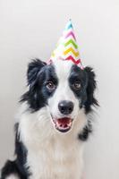 Lustiges Porträt eines süßen, lächelnden Welpenhundes Border Collie mit dummem Geburtstagshut, der isoliert auf weißem Hintergrund in die Kamera schaut. alles gute zum geburtstag partykonzept. lustige haustiere tiere leben. foto