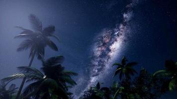 4k Astro der Milchstraßengalaxie über tropischem Regenwald. foto