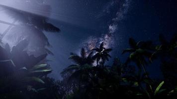 4k Astro der Milchstraßengalaxie über tropischem Regenwald. foto