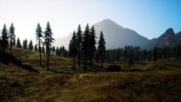 felsige Bergkette mit Bäumen foto