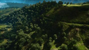 tropischer wald im morgendlichen blick auf das hochland von malaysia foto