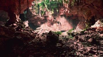 große feenhafte Felsenhöhle mit grünen Pflanzen foto