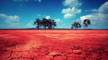 rissiger Boden trockenes Land während der Trockenzeit foto