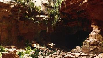 große feenhafte Felsenhöhle mit grünen Pflanzen foto