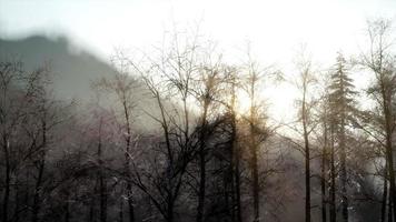 schöne Winterlandschaft in den Bergen foto