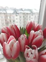 hintergrund für den internationalen frauentag. Blumenstrauß aus rosa Tulpen foto