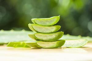 frische Aloe Vera foto