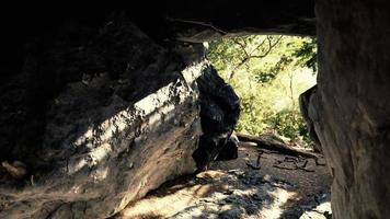 Aufnahme aus einer kleinen Höhle mit Blick nach draußen foto