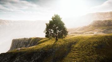 schöne neblige landschaft in der toskana foto