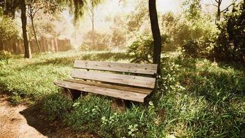 Sitzbank im Sommerpark mit altem Baumbestand und Fußweg foto