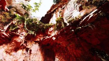 große feenhafte Felsenhöhle mit grünen Pflanzen foto