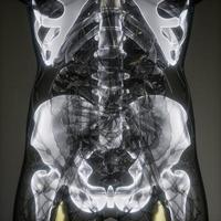 transparenter menschlicher Körper mit sichtbaren Knochen foto