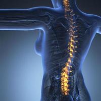 menschliche Rückenschmerzen und Rückenschmerzen mit einem Oberkörperskelett, das die Wirbelsäule und die Wirbelsäule zeigt foto