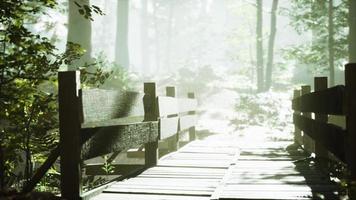 Alte Holzbrücke über einen kleinen Bach in einem Park foto