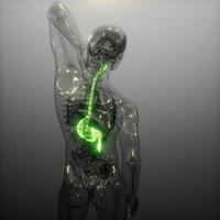 Röntgenuntersuchung des menschlichen Magens foto
