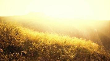 goldene felsen und gras in den bergen foto