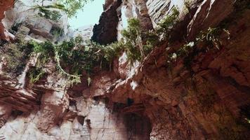 große feenhafte Felsenhöhle mit grünen Pflanzen foto