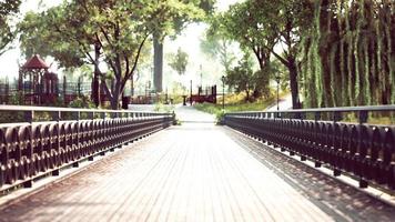 alte Brücke im Park im Sommer foto