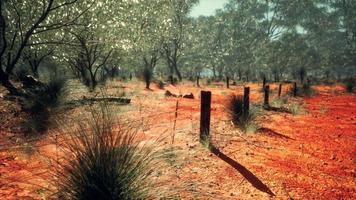 Dingozaun im australischen Outback foto