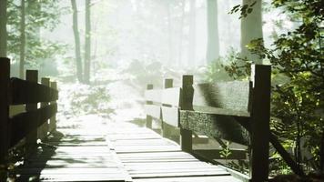 Alte Holzbrücke über einen kleinen Bach in einem Park foto