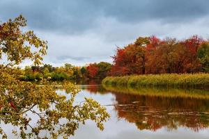 bunt herbst wald see fluss himmel wolken zirrus foto