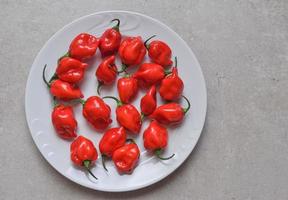 rote Paprika Gemüse foto