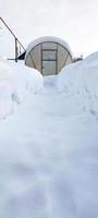 Weg zum Gewächshaus im Winter. zuverlässiges Polycarbonat-Gewächshaus im Winter unter Schnee. das gewächshaus im garten ist mit schnee bedeckt. foto