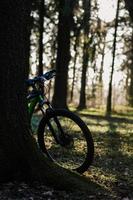 Mountainbike im Wald foto