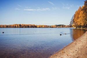 Herbstwald und See mit Enten foto