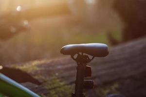 Fahrradsattel aus Sommerholz foto