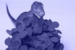st. patrick's day happy dinosaurier, ein blumenstrauß aus klee in einem eimer und goldmünzen auf einem sehr peri hintergrund. Nahaufnahme kopieren foto