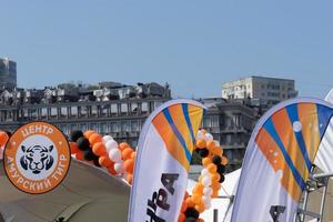 wladiwostok, primorsky krai - 29. september 2019 - stadtplatz mit menschen und autos während der feierlichkeiten zum tigertag. der karneval ist dem schutz der ökologie und der fernöstlichen tiger gewidmet. foto