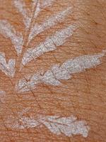 natürliche weiße Tätowierung mit Pteridophytenblatt foto