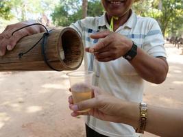 asiatische palmyrapalme, zuckerpalmenwirbelpalmensaft, siem reap foto