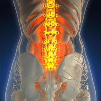 wissenschaftliche anatomie des menschlichen körpers im röntgenbild mit glühenden rückenknochen