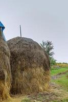 haus, heuhaufen auf dem feld, in einem karpatendorf, ukraine foto