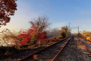 Eisenbahn im Wald an einem nebligen Herbsttag. foto