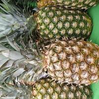 Makrofoto Ananas. stock photo Obst Ananas Hintergrund foto