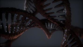 loop doppelhelicale struktur der dna-strang-nahaufnahme-animation foto