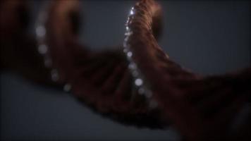 Endlos wiederholbare Struktur der DNA-Doppelhelix-Animation foto