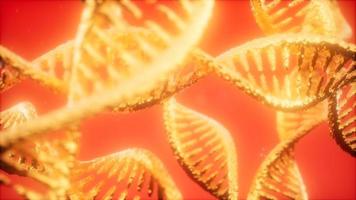 struktur der dna-doppelhelix-animation foto